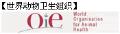 綯֯OIE